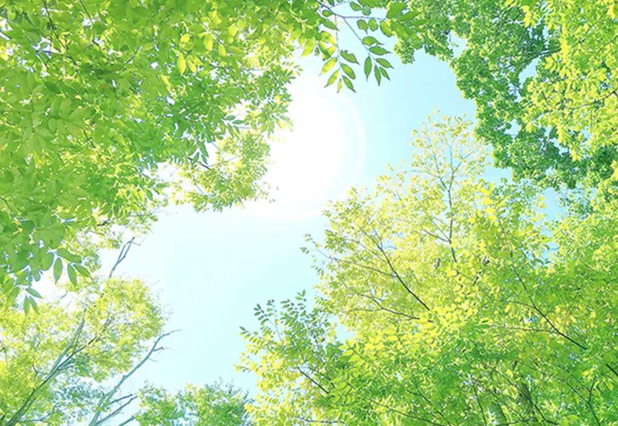 基本理念 PHILOSOPHY
