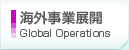 �C�O���ƓW�J